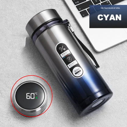 Breesh LED Temperature Display Bottle